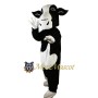 Black Cow Mascot Costume