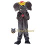 Magic Elephant Mascot Costume