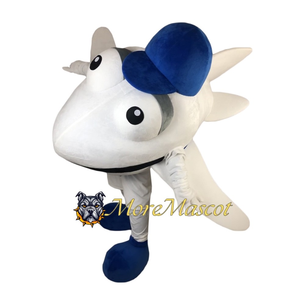Aircraft Mascot Costume