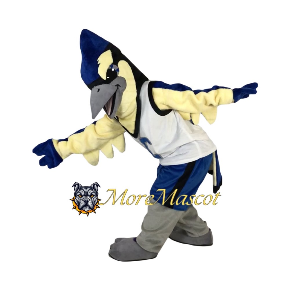 Basketball Eagle Mascot Costume