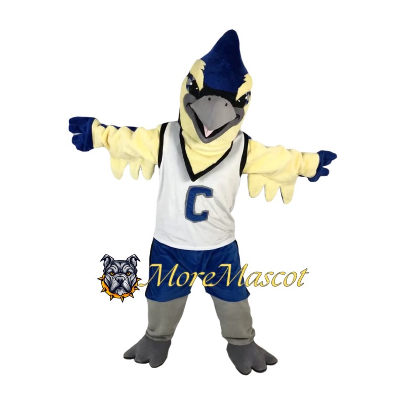Basketball Eagle Mascot Costume