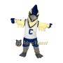 Basketball Eagle Mascot Costume