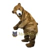 Soft Bear Mascot Costume
