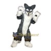 Wolf Dog Mascot Costume