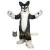 Wolf Dog Mascot Costume