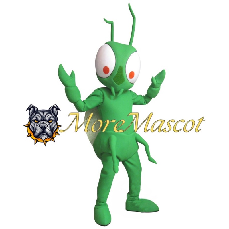 Green Cricket Mascot Costume