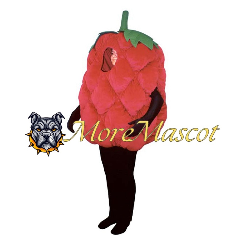 Raspberry Mascot Costume