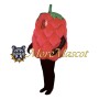 Raspberry Mascot Costume
