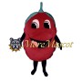 Funny Tomato Mascot Costume