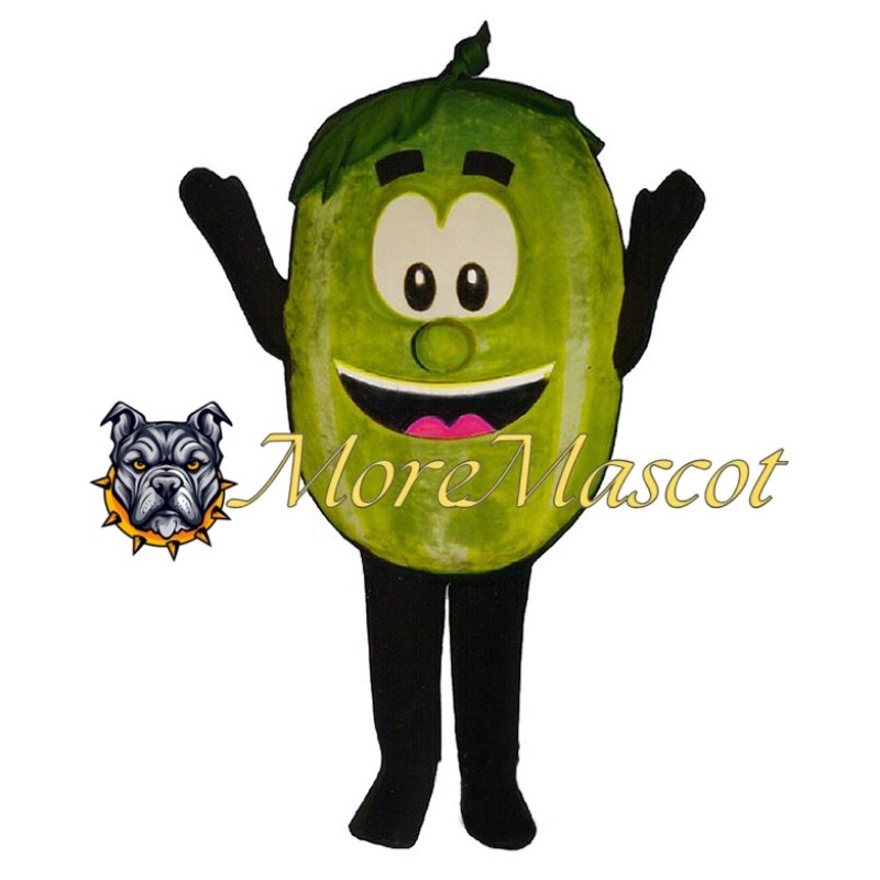 Melon Mascot Costume