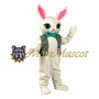 Green Vest Rabbit Mascot Costume