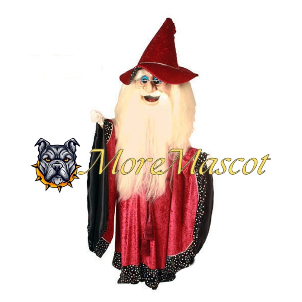 Wizard Mascot Costume