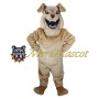 Happy Bulldog Mascot Costume