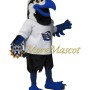 Sports Seahawk Mascot Costume