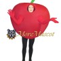 Cherry Mascot Costume