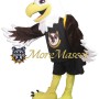 College Adult Eagle Mascot Costume