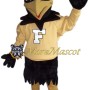 Falcon Mascot Costume