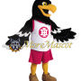 High School Hawk Mascot Costume