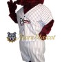 Sport Adult Bull Mascot Costume