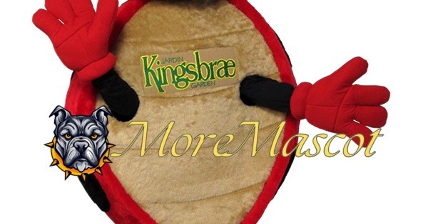Cute Ladybug Mascot Costume - moremascot102652