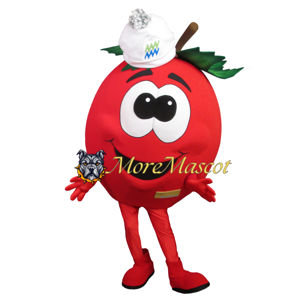 Cartoon Cherry Mascot Costume