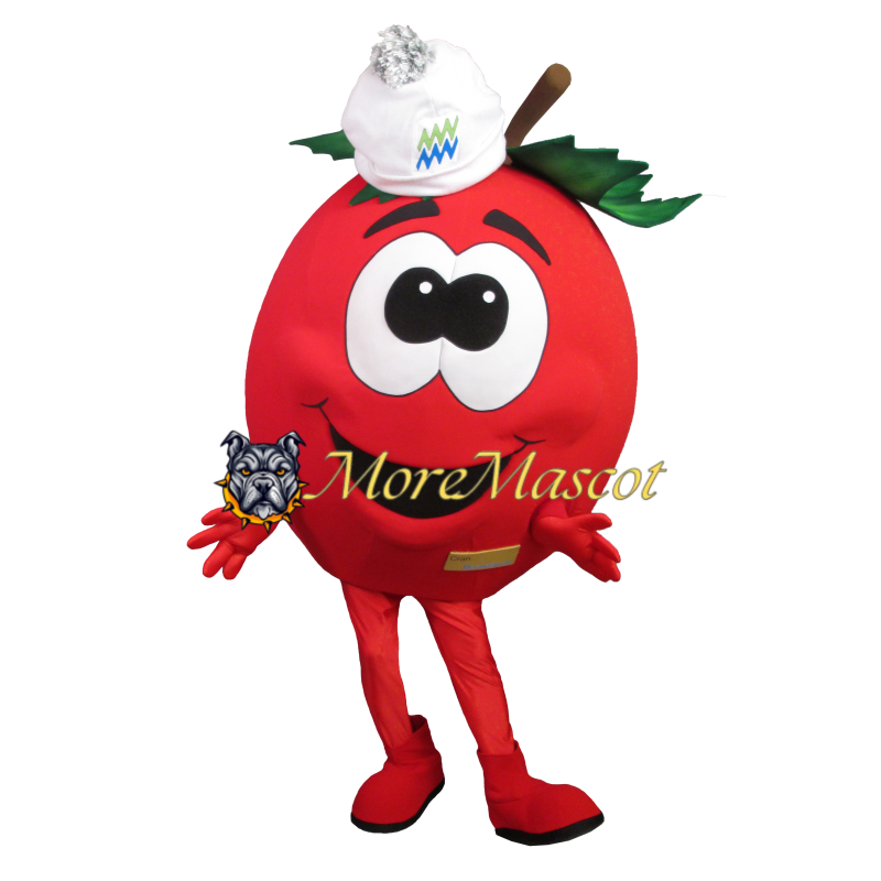 Cartoon Cherry Mascot Costume