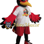 Sport Roadrunner Mascot Costume