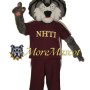 College Wildcat Mascot Costume
