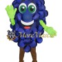 Purple Grapes Mascot Costume