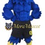 Blue Muscle Hawk Mascot Costume