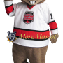 Sport Brown Squirrel Mascot Costume