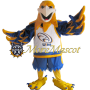 Superb Sport Falcon Mascot Costume