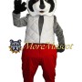 Adult Cute Raccoon Mascot Costume