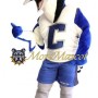 College Blue Jay Mascot Costume