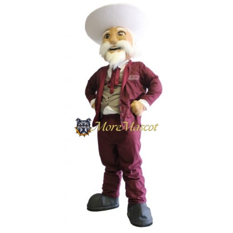 Scholar Mascot Costume