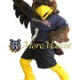 Sports Falcon Mascot Costume