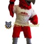 Middle School Red Hawk Mascot Costume