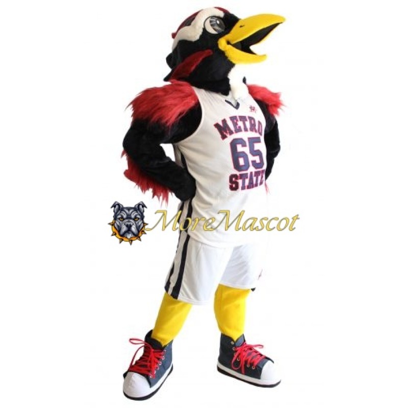 University Raven Mascot Costume
