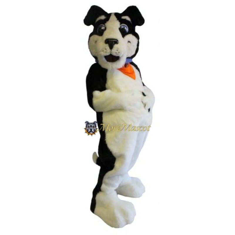 Realistic Black & White Dog Mascot Costume
