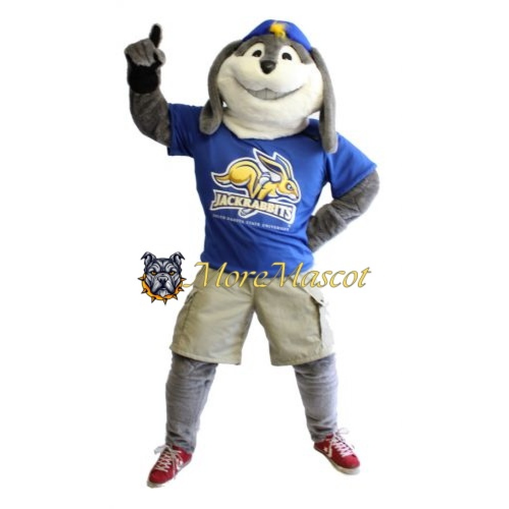 Sport Grey Rabbit Mascot Costume