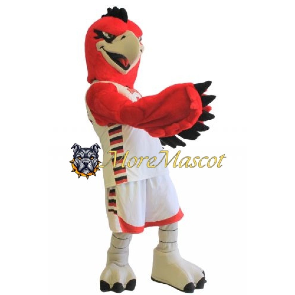 Sport Power Falcon Mascot Costume