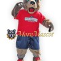 Cute Adult Bear Mascot Costume