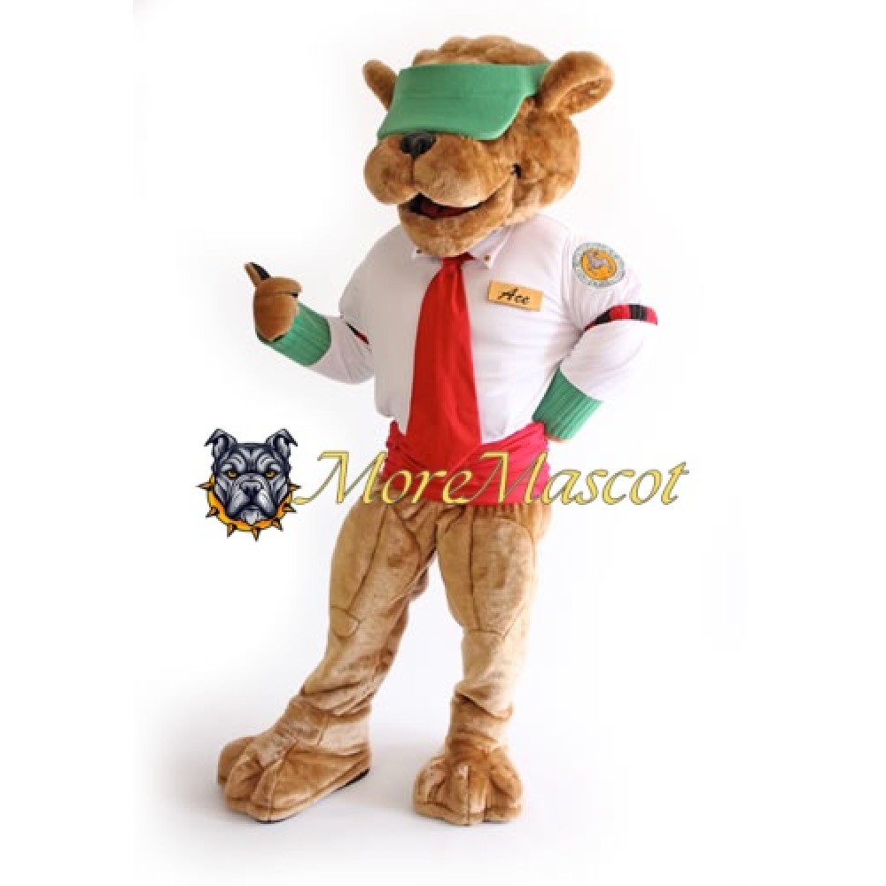 Power Ace Bear Mascot Costume