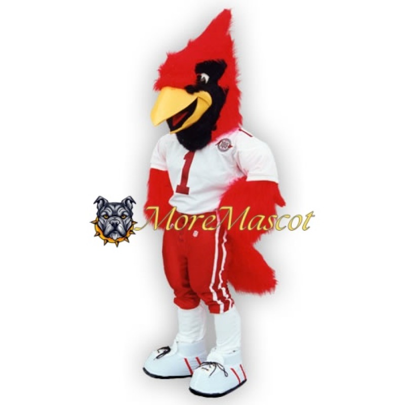 Power Sports Eagle Mascot Costume