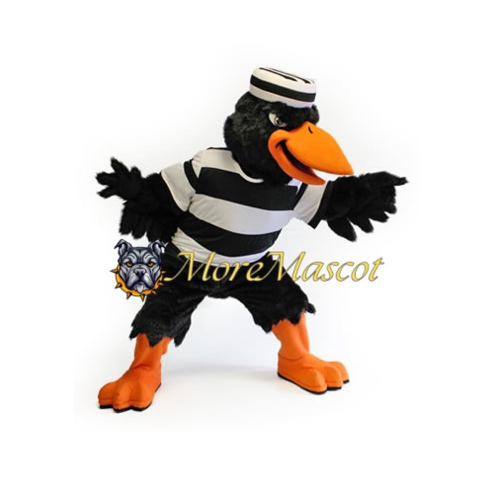 Power Raven Mascot Costume