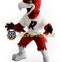 Superb Sport Hawk Mascot Costume