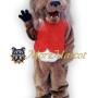 Realistic Lion Mascot Costume