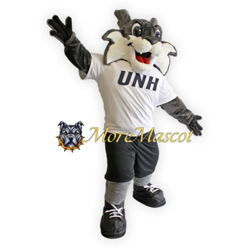 University Cute Tiger Mascot Costume