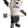 University Cute Tiger Mascot Costume