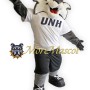University Cute Tiger Mascot Costume